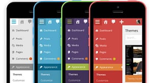 Mengganti Skema Warna Admin Wordpress